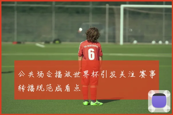 公共场合播放世界杯引发关注 赛事转播规范成看点
