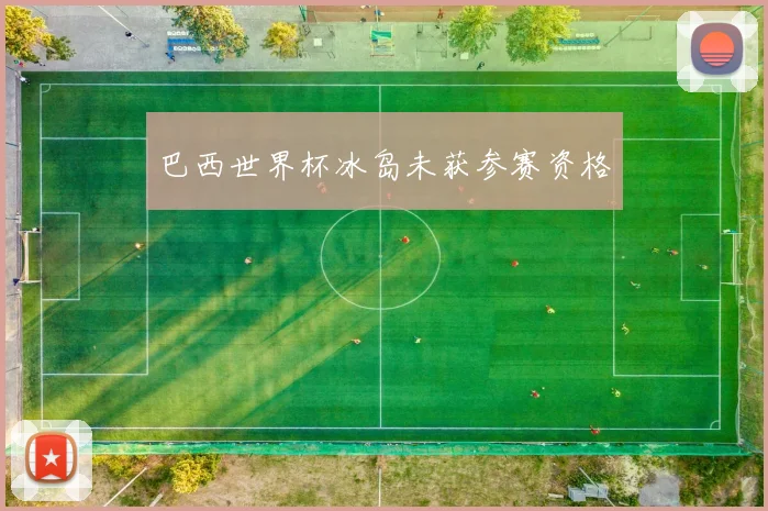 巴西世界杯冰岛未获参赛资格