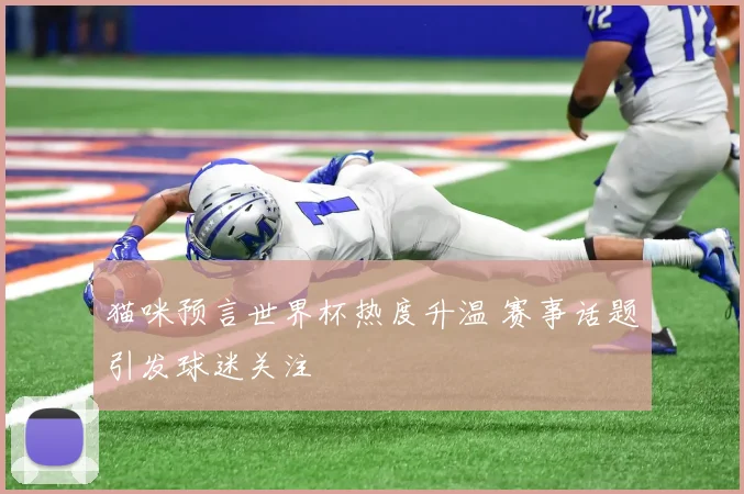 猫咪预言世界杯热度升温 赛事话题引发球迷关注