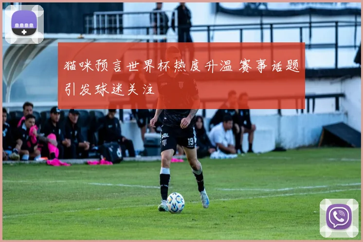 猫咪预言世界杯热度升温 赛事话题引发球迷关注