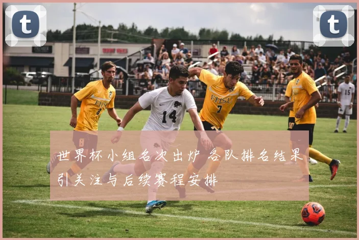 世界杯小组名次出炉 各队排名结果引关注与后续赛程安排