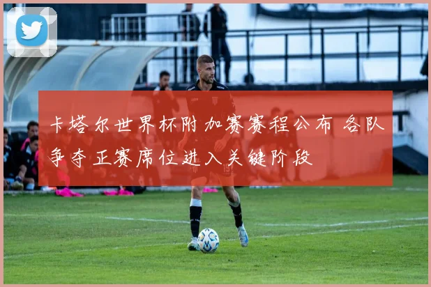 卡塔尔世界杯附加赛赛程公布 各队争夺正赛席位进入关键阶段
